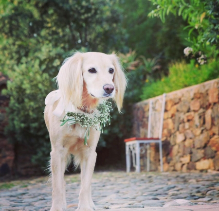 Imagem da loja: Florista Suzel